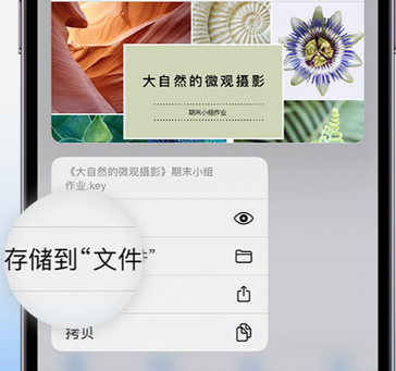 来凤apple维修中心分享iPhone文件应用中存储和找到下载文件