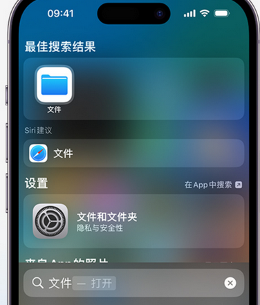 来凤apple维修中心分享iPhone文件应用中存储和找到下载文件 