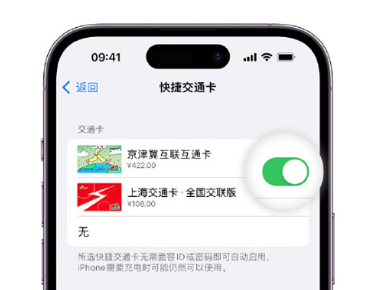 来凤apple维修点分享iPhone上更换Apple Pay快捷交通卡手绘卡面 