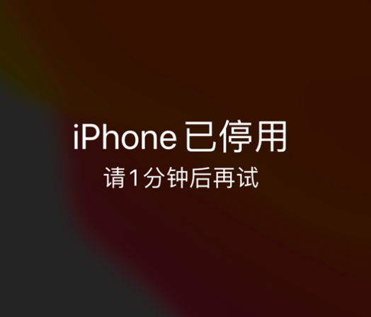 来凤苹果手机维修分享:iPhone 显示“不可用”或“已停用”怎么办？还能保留数据吗？ 