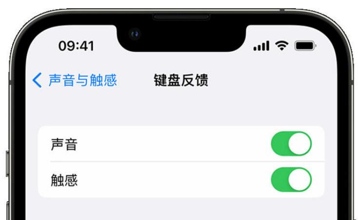 来凤苹果手机维修分享iPhone 14触感键盘使用方法 