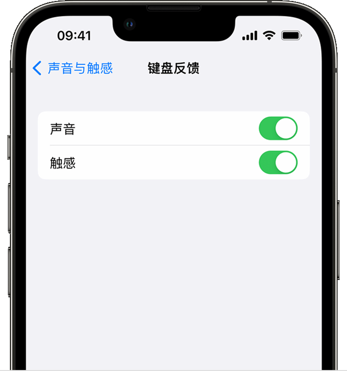 来凤苹果14维修店分享如何在 iPhone 14 机型中使用触感键盘 