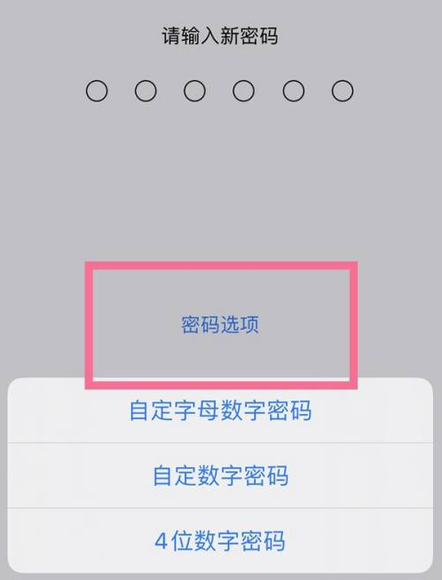 来凤苹果14维修分享iPhone 14plus设置密码的方法 