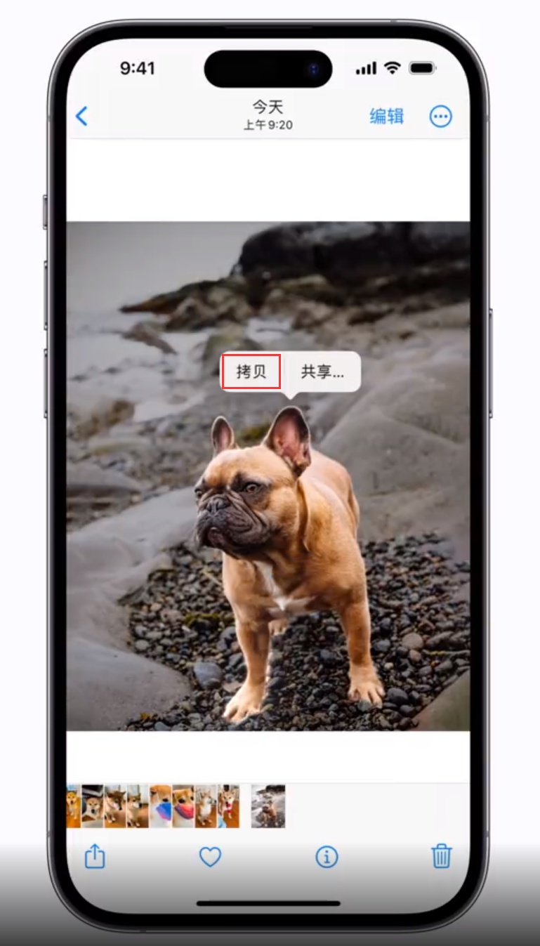 来凤苹果手机维修分享 iOS 16 自带一键抠图功能 