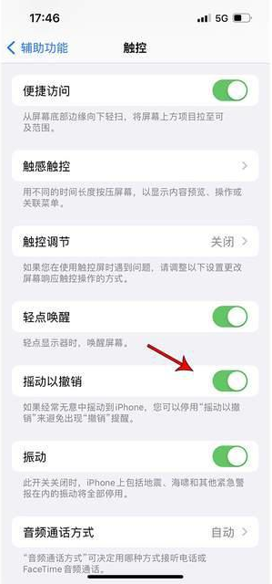 来凤苹果手机维修分享iPhone手机如何设置摇一摇删除文字 