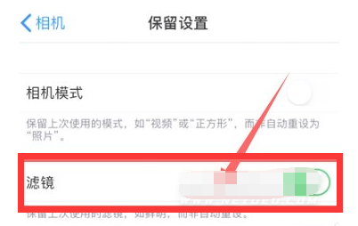 来凤苹果13维修分享iPhone13拍照有绿点是怎么回事 