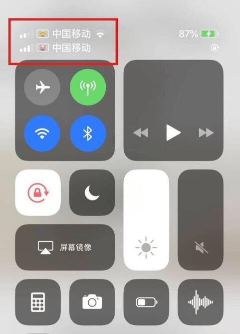 来凤苹果手机维修分享为 iPhone 12 双卡设置标签 
