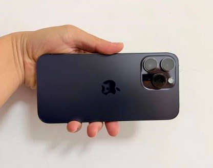 来凤苹果维修点分享iPhone 14 Pro Max发烫多重诱因剖析 